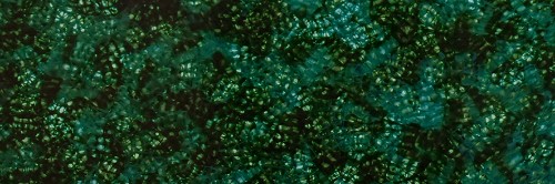YLA6BA905.jpg