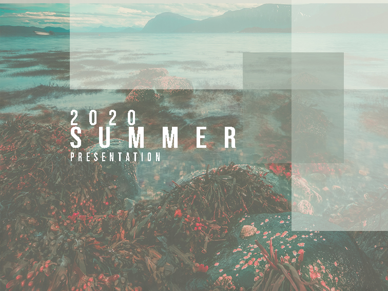 SUMMER 2020 PRESENTATION